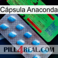 Cápsula Anaconda new03